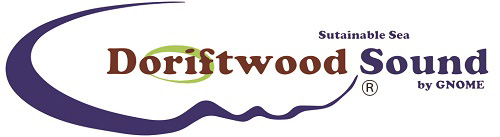 driftwoodsound